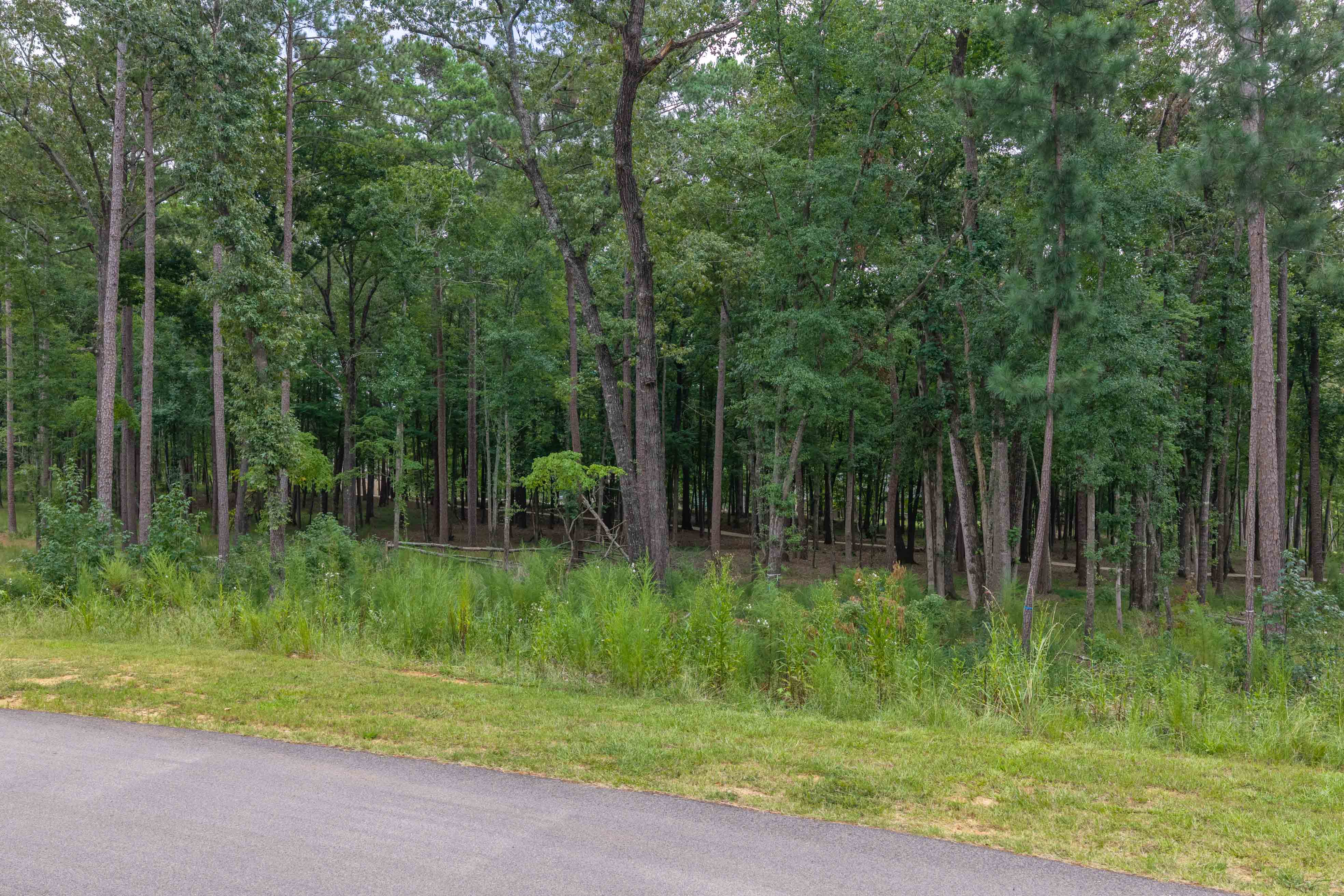 1131 Grove Ridge View image 4